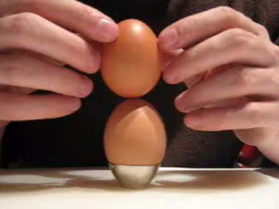 egg city 4