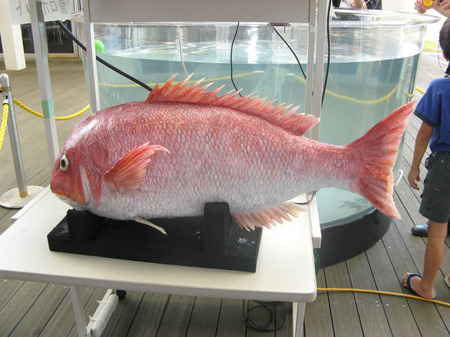 realistic robot fish